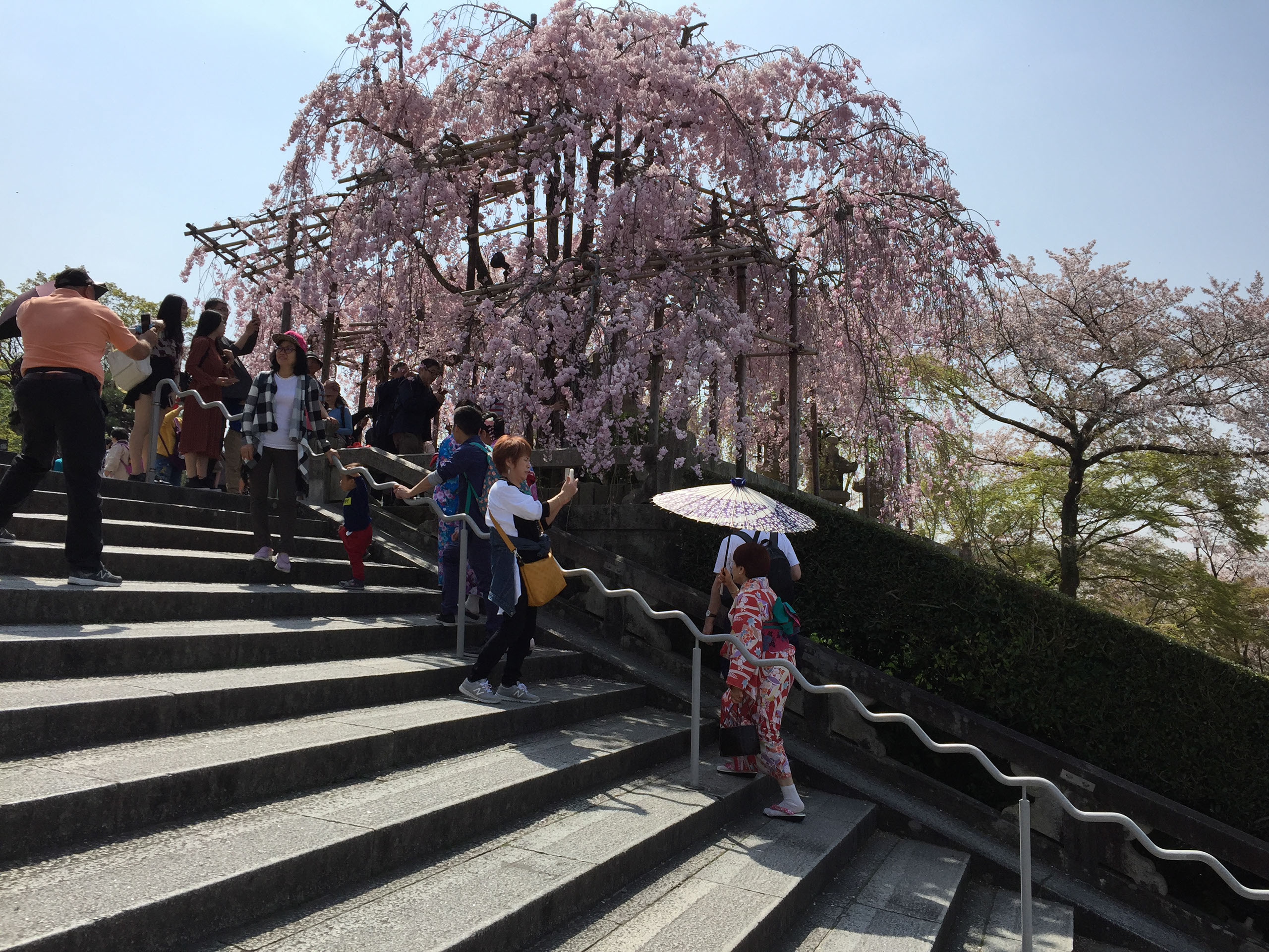 Japan Trip | Landscape Design | Garden Tours Japan Trip | Landscape Design | Garden Tours